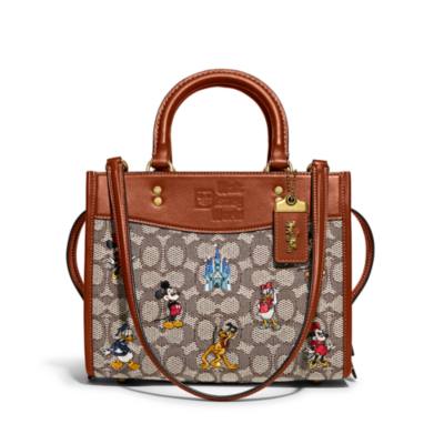 Coach disney handbag sale