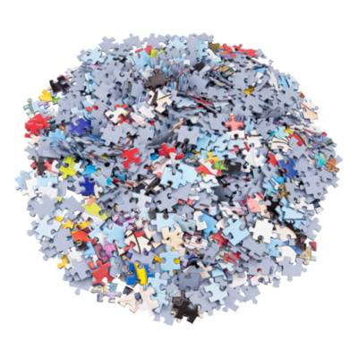 Disneyland Paris 1000 Piece Souvenir Puzzle