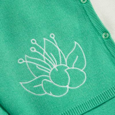 Disney Parks Color Me Courtney Tiana Ladies' Sweater and Dress Set, The Princess and The Frog