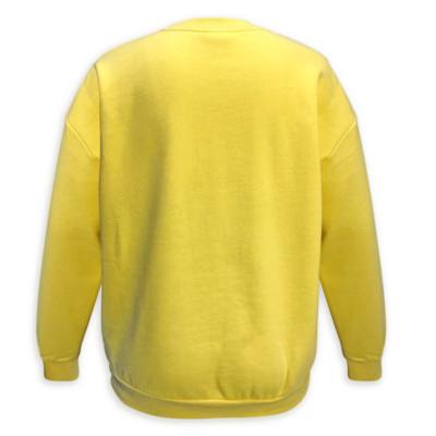 Sudadera arco&iacute;ris Mickey Mouse para adultos,