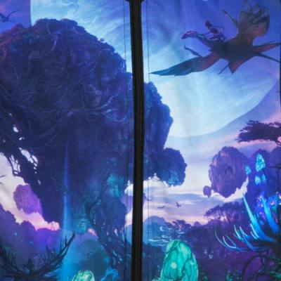 Walt Disney World The World of Avatar Ladies' Jacket