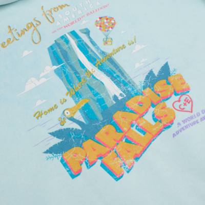 Disney Store Up Hooded Sweatshirt For Adults