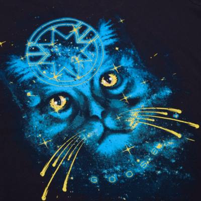 Disney Store Goose T-Shirt For Adults, Captain Marvel