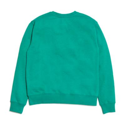 Disneyland Resort Sweatshirt For Adults