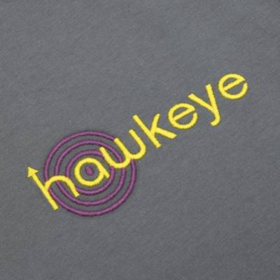 Disney Store Hawkeye and Kate Bishop T-Shirt For Adults