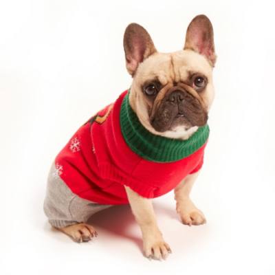 Pull de No&euml;l Pluto pour animaux, Holiday Cheer
