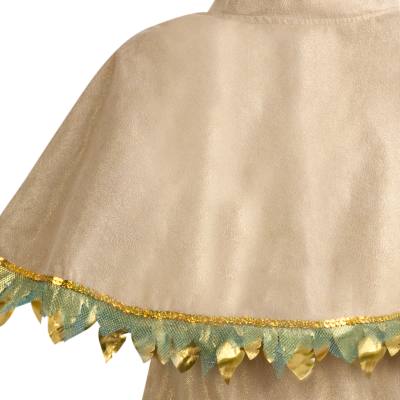 Pocahontas Costume Dress For Kids