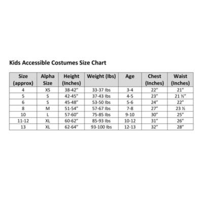 Disney Store Cinderella Adaptive Costume