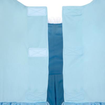 Disney Store Cinderella Adaptive Costume