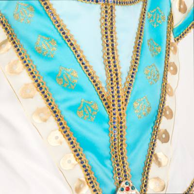 Disney Store Princess Jasmine Deluxe Sultana Costume For Kids