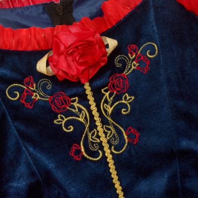 Disneyland Paris D&eacute;guisement Blanche Neige de luxe pour enfants