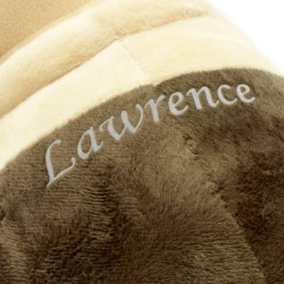 Disney Store Machiavelli Small Soft Toy, Luca