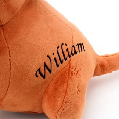 Pumbaa Medium Soft Toy, The Lion King