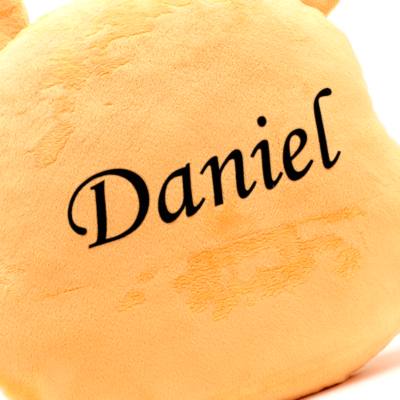 Winnie Puuh - Gro&szlig;es Gesichtkissen