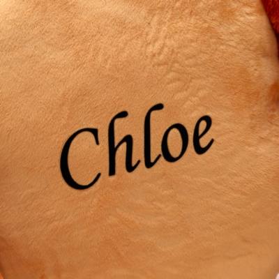 Lady Big Face Cushion