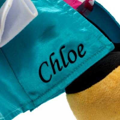 Disney Store - Minnie Maus 2021 - Schul- oder Studienabschluss - Kuscheltier