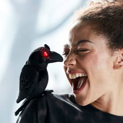 Raven Feature Shoulder Soft Toy, Haunted Mansion