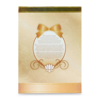 Bambola Principessa Jasmine Edizione Speciale Natale, Aladdin, 26 cm