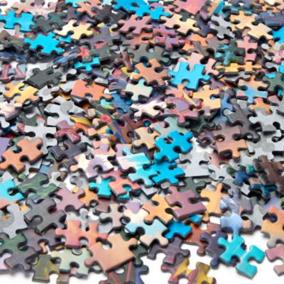 Disneyland 1000 Piece Signature Puzzle