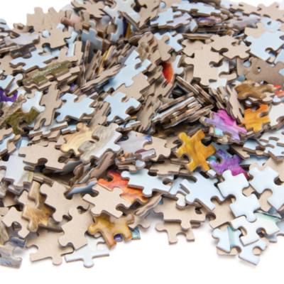 Up 750 Piece Puzzle