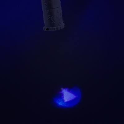 Cinderella Light-Up Wand