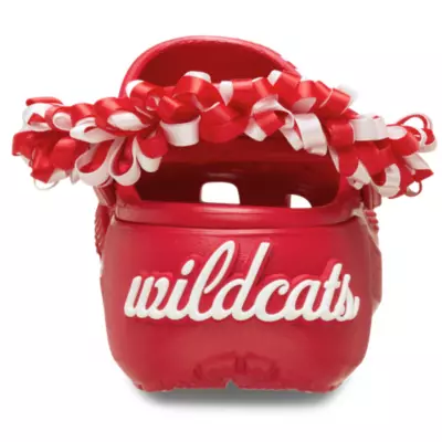 Zoccoli adulti High School Musical Crocs