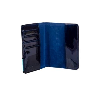 Danielle Nicole Aladdin Passport Holder