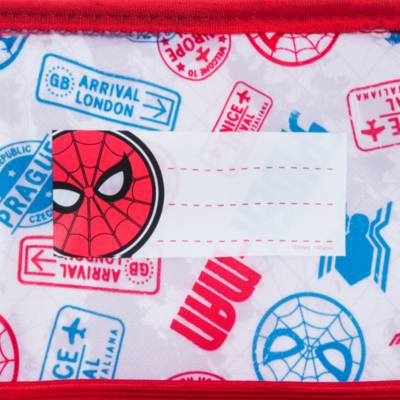 Disney Store Spider-Man Backpack