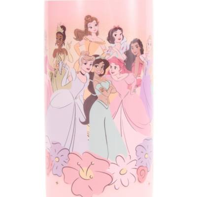 Disney Princess Water Bottle