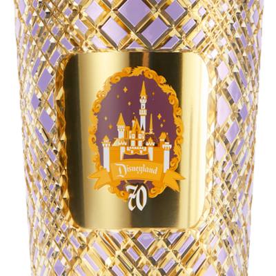 Starbucks Sleeping Beauty Castle Disneyland Resort 70th Anniversary Straw Tumbler