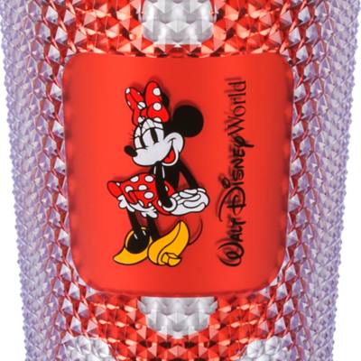 Walt Disney World Minnie Mouse Starbucks Tumbler with Straw