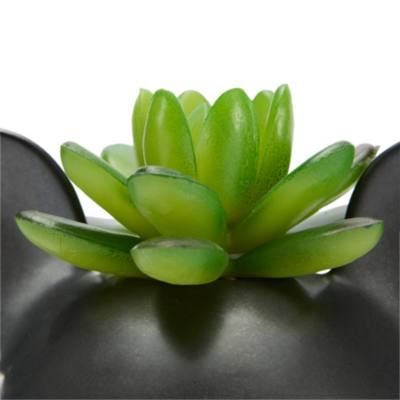 Piantina artificiale in vaso silhouette di Topolino, Home Haven