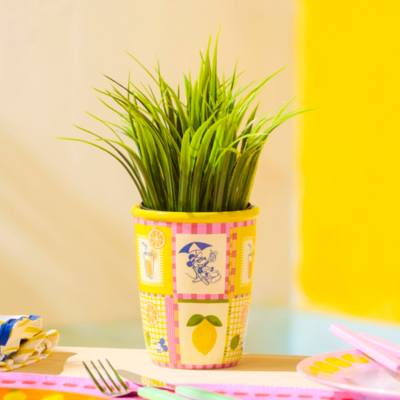 Vaso per piante Topolino