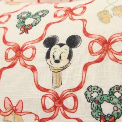 Coj&iacute;n Mickey y Minnie Mouse, Winter Wishes