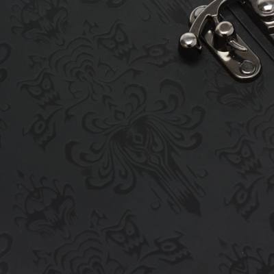 Haunted Mansion Journal