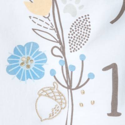 Copertina neonato My First Year Dumbo e Bambi Disney Store