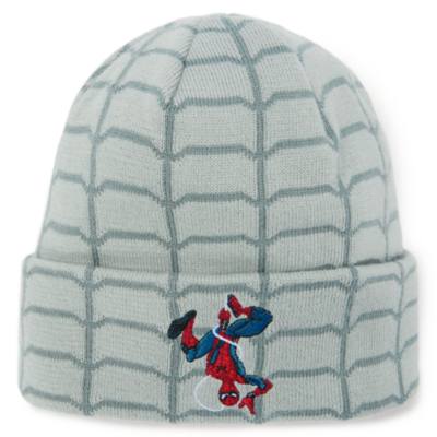 Spider-Man Beanie For Adults