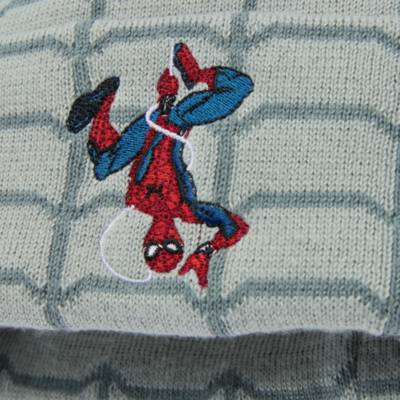 Spider-Man Beanie For Adults