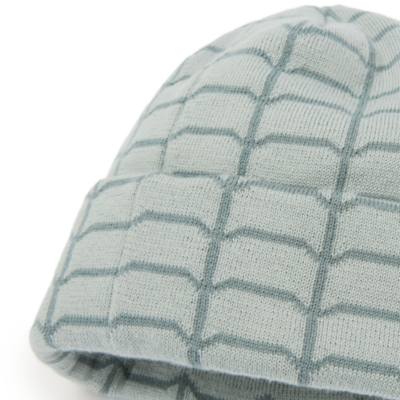 Spider-Man Beanie For Adults