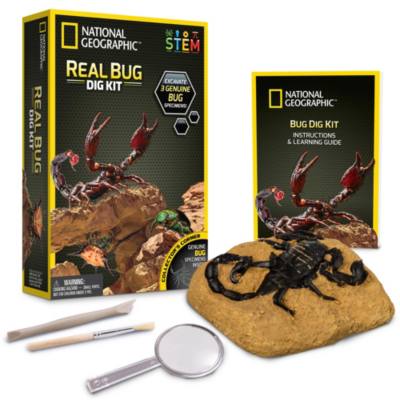 Bandai National Geographic Bug Dig Kit