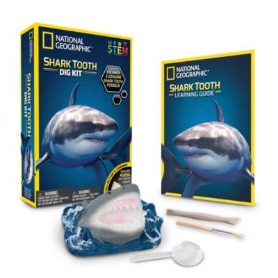 Bandai National Geographic Shark Tooth Dig Kit