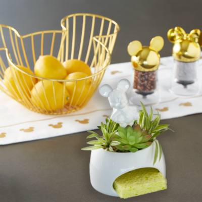 Disney Eats Collection