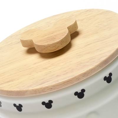 Disney Parks bote peque&ntilde;o Mickey Mouse Homestead