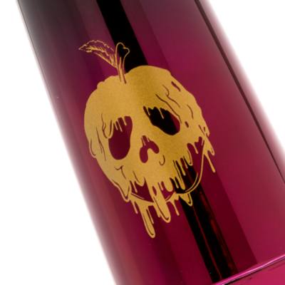 Disney Store Villains Water Bottle