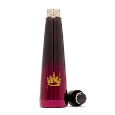 Disney Store Villains Water Bottle