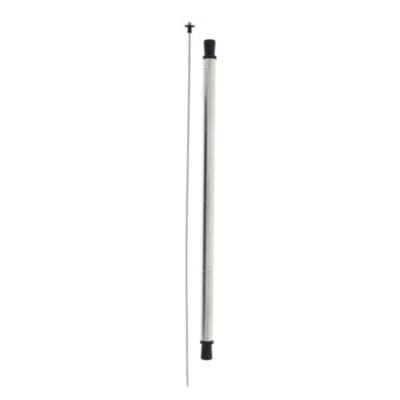 Disney Store National Geographic Reusable Straw