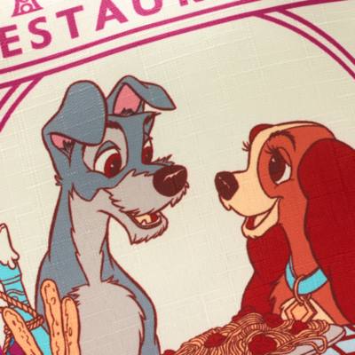 Coj&iacute;n La Dama y el Vagabundo,