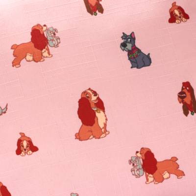 Coj&iacute;n La Dama y el Vagabundo,