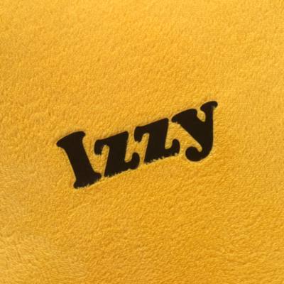 Disney Store Simba Convertible Fleece Throw