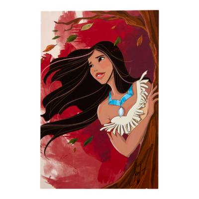 Disney Store - Pocahontas - Set in limitierter Edition mit Dekorationsst&uuml;ck und Kunstdruck